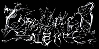 logo Forgotten Silence